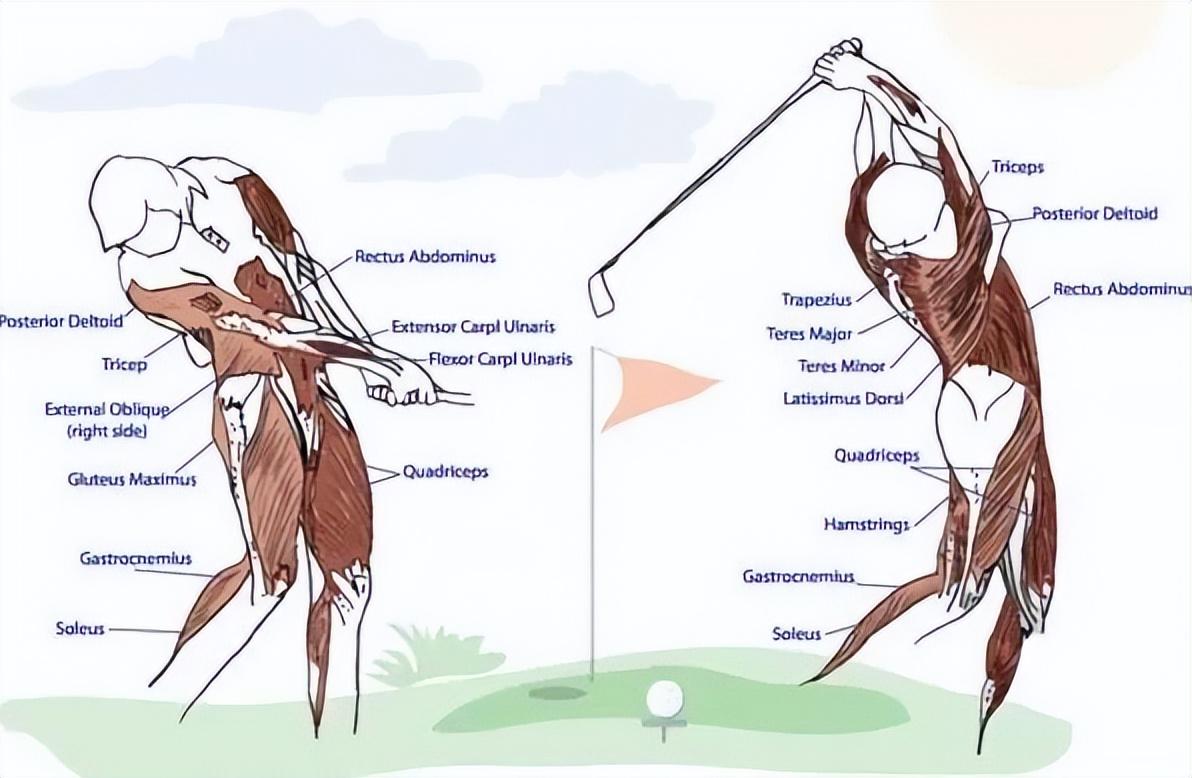 如何在日常训练中提高Golf高尔夫体能 - PGA教练分享